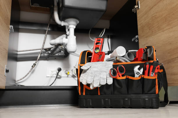 Best Clogged Drain Plumber  in Bayonet Point, FL
