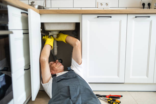 Best Local Plumber Services  in Bayonet Point, FL