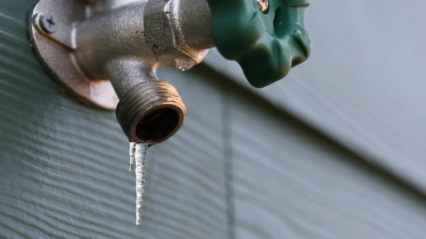 Best Septic Systems  in Bayonet Point, FL